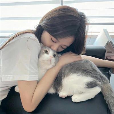 第八圈